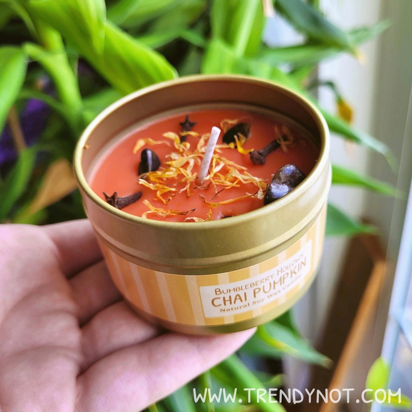 Candle - Fripouille's Chai Pumpkin